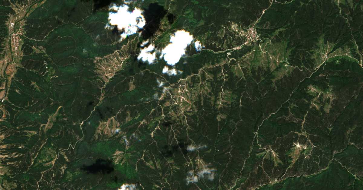 Satelitska karta: Kuzjovo
