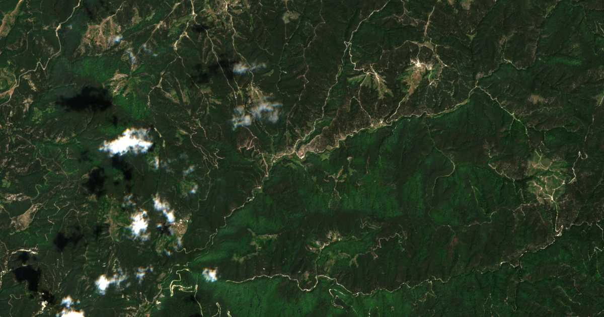 Satelitska karta: Palatik