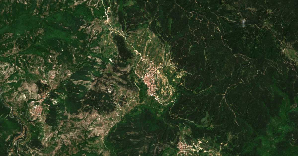 Satelitska karta: Ribnovo