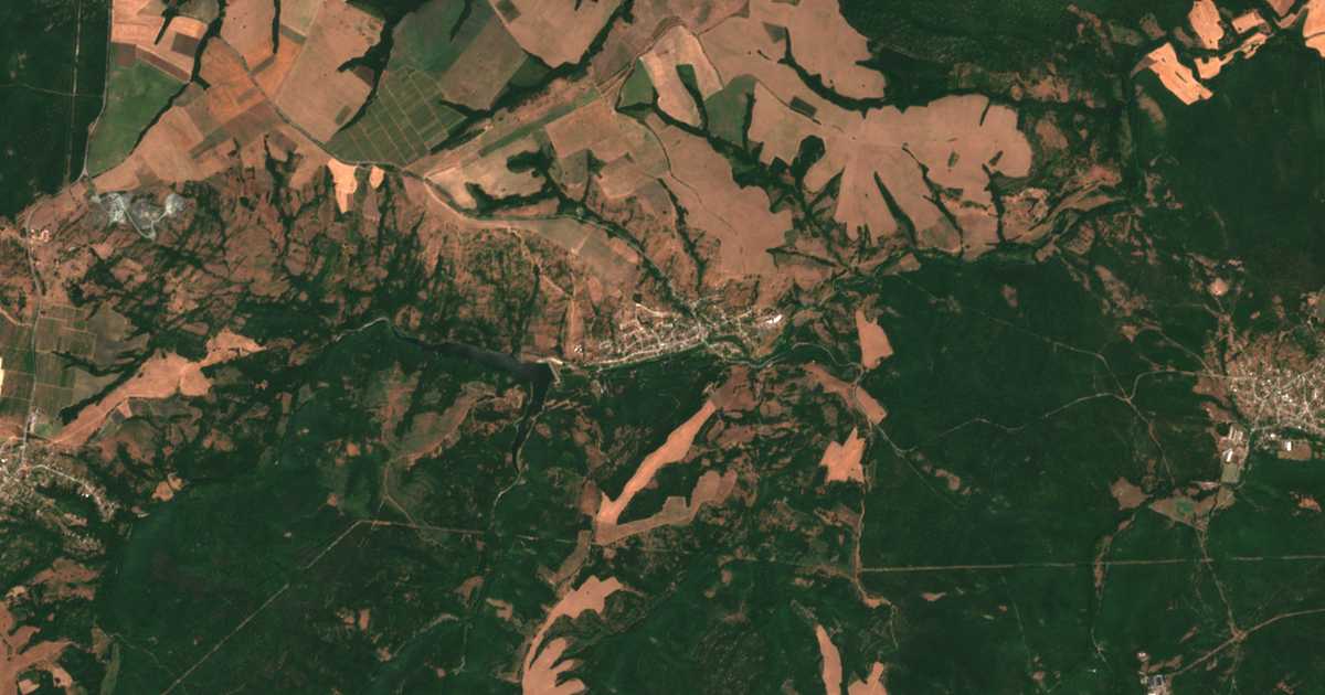 Satelitska karta: Novo Paničarevo