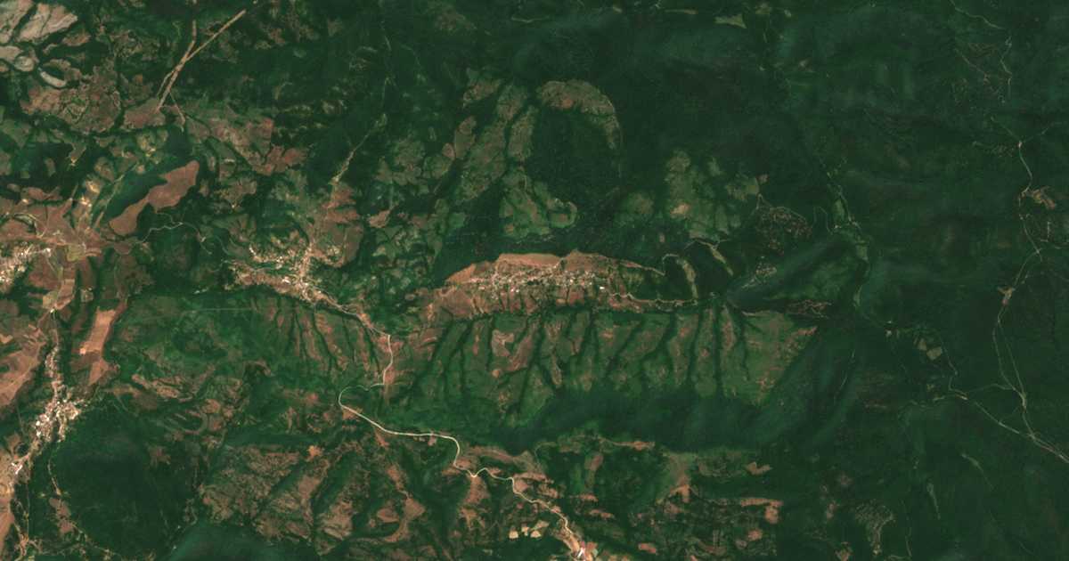 Satelitska karta: Zaimčevo