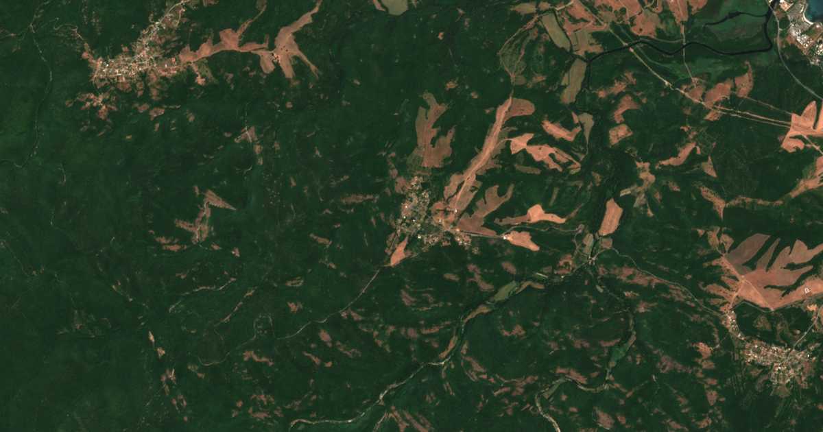 Satelitska karta: Fazanovo