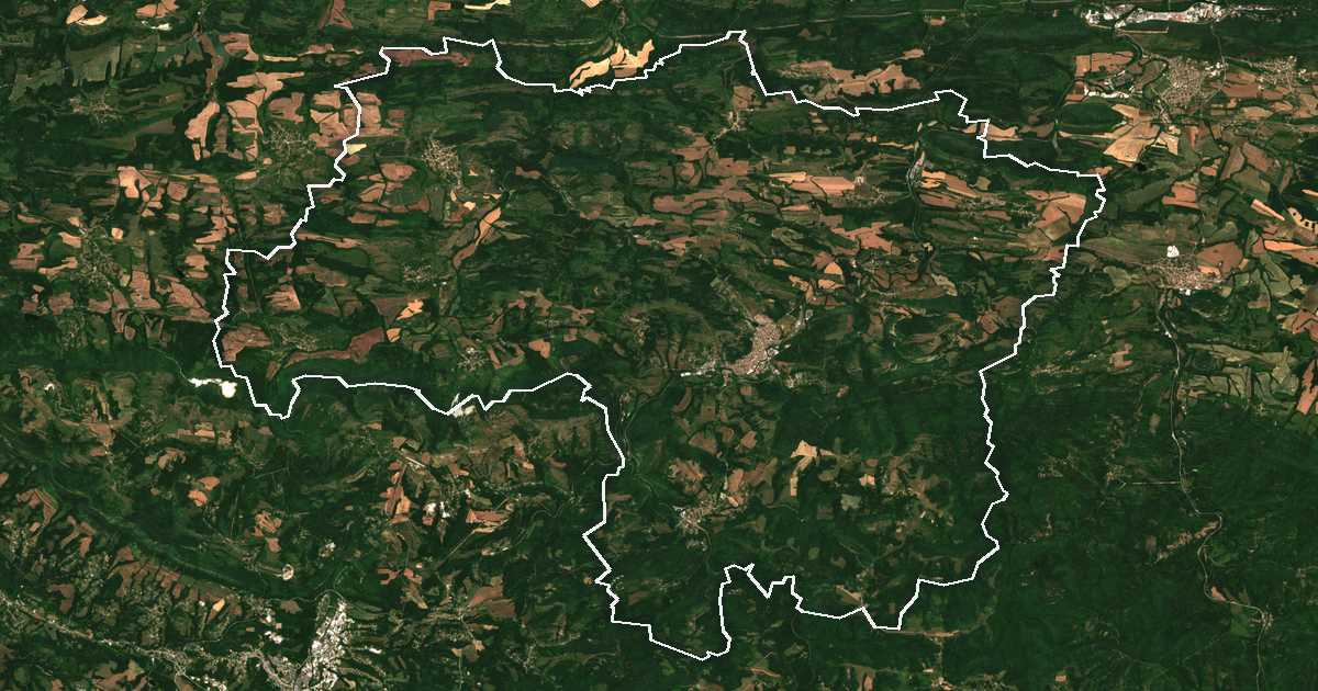 Satelitska snimka s ucrtanom granicom: Drjanovo