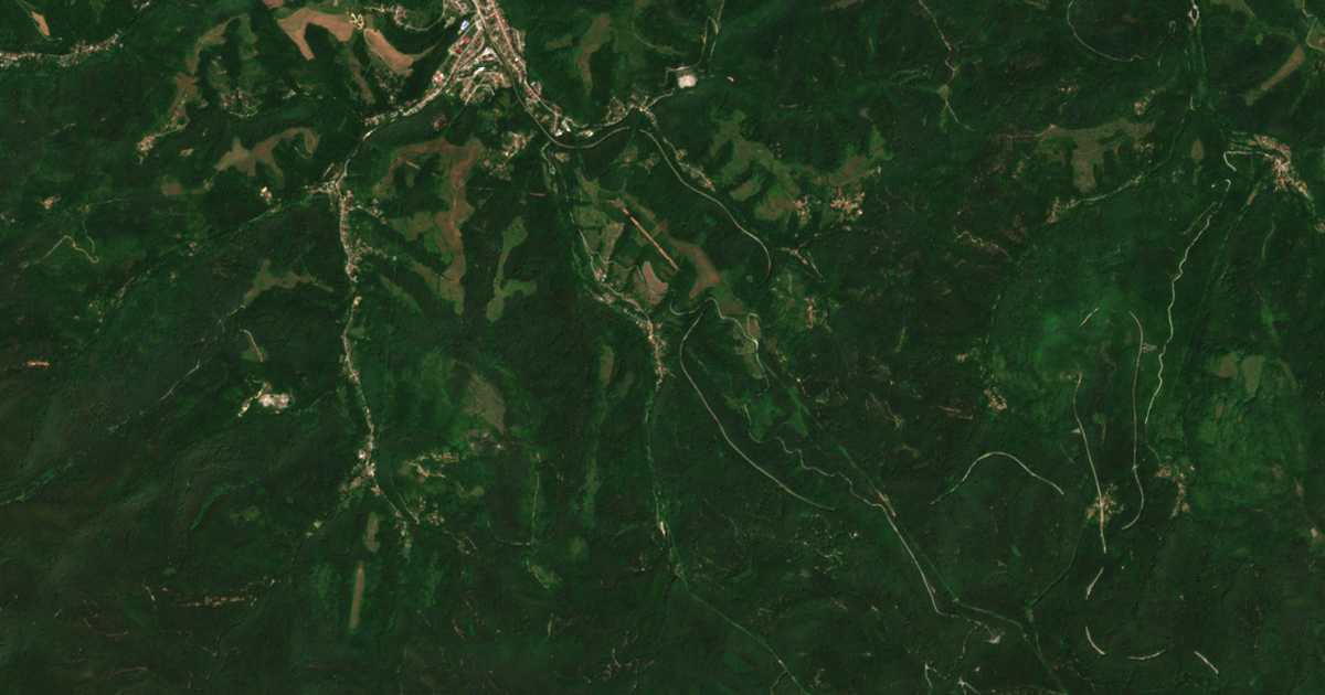 Satelitska karta: Radevci