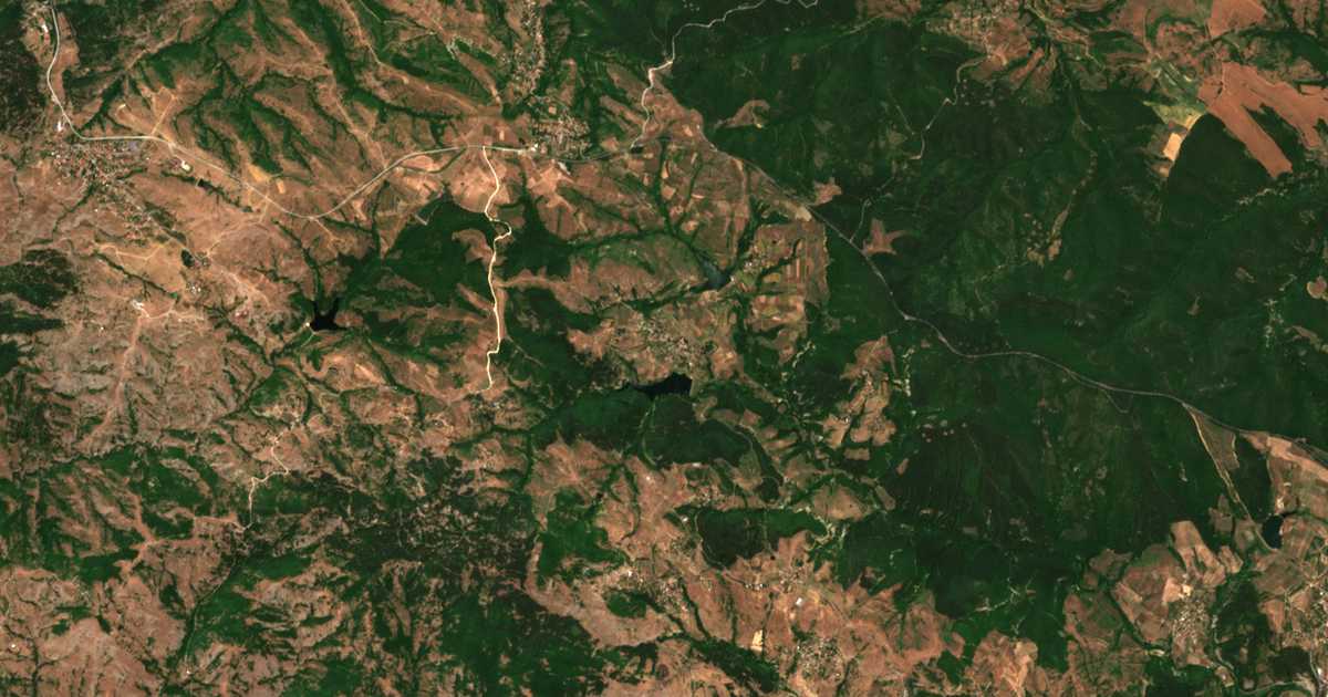 Satelitska karta: Daskalovo