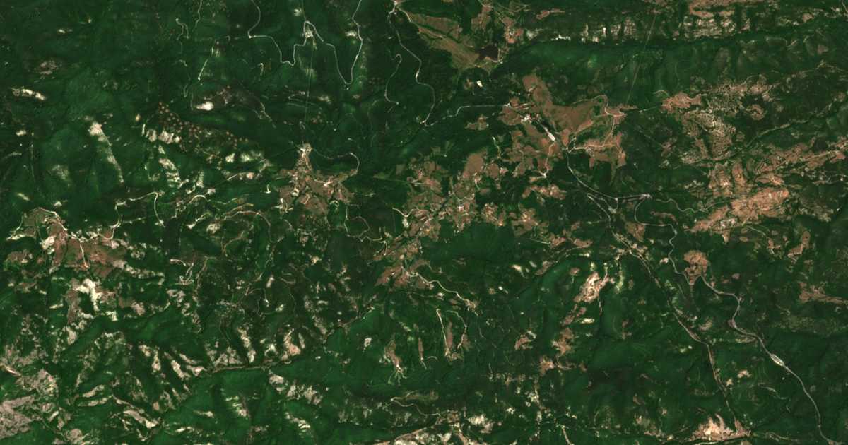 Satelitska karta: Paničkovo