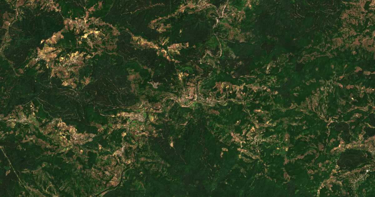 Satelitska karta: Buk