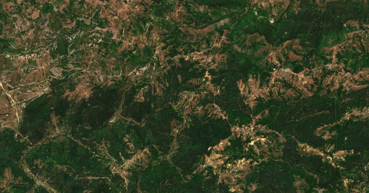 Satelitska karta: Grivka