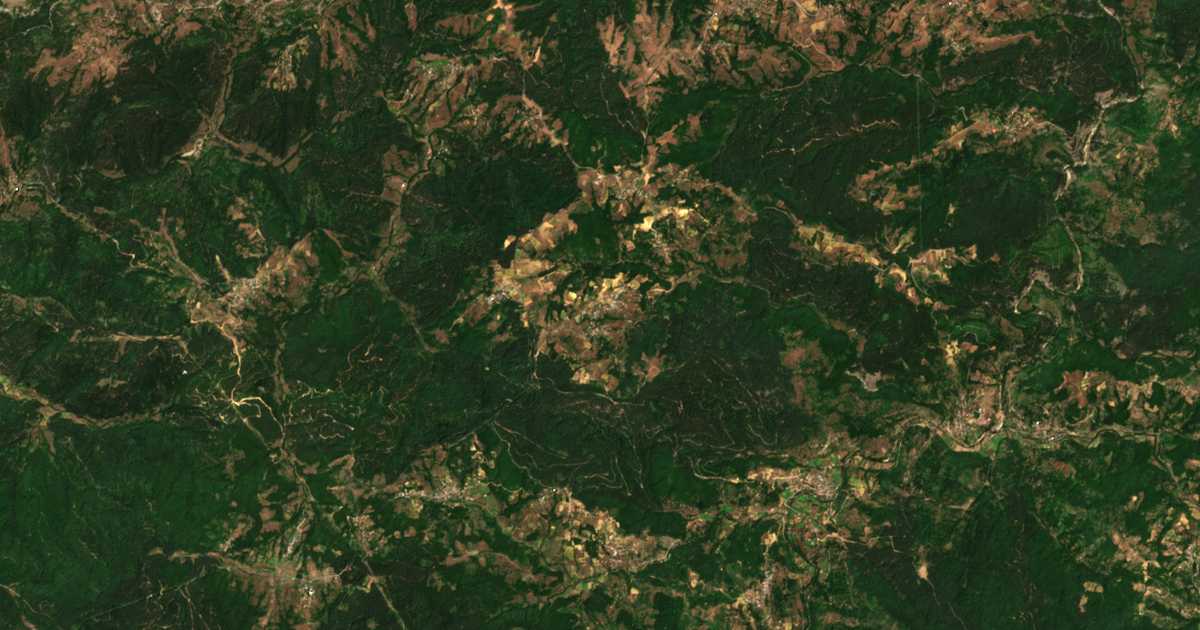 Satelitska karta: Pašinci