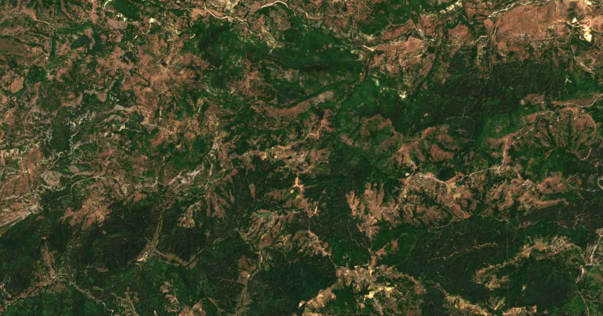 Satelitska karta: Raličevo