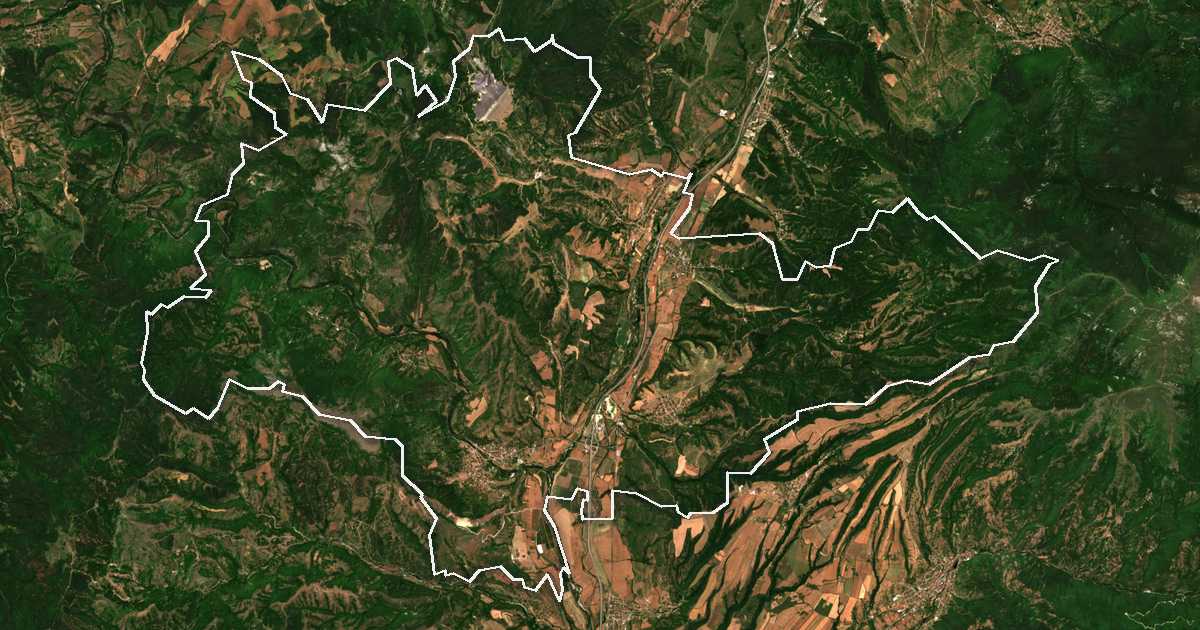 Satelitska snimka s ucrtanom granicom: Boboševo