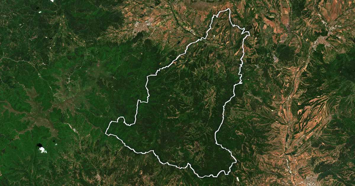 Satelitska snimka s ucrtanom granicom: Nevestino