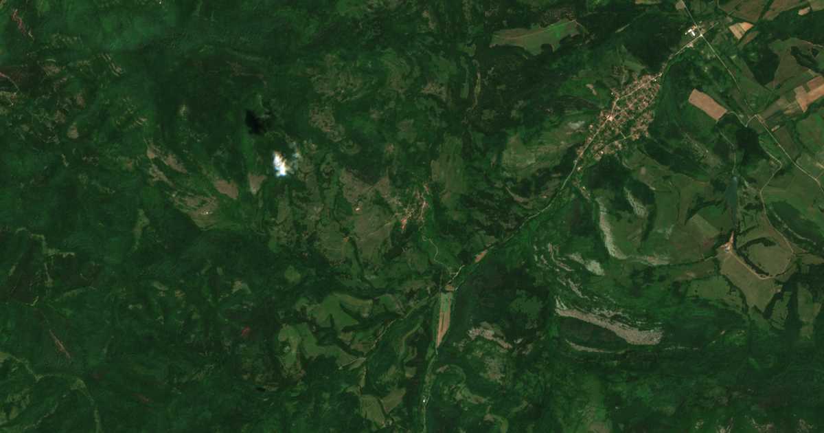 Satelitska karta: Leskovec