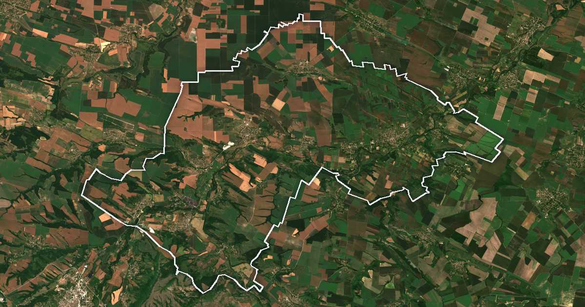 Satelitska snimka s ucrtanom granicom: Bojčinovci