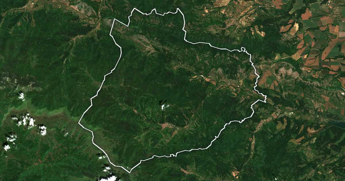 Satelitska snimka s ucrtanom granicom: Čiprovci