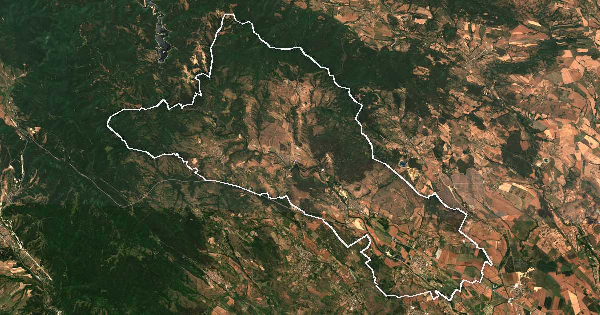 Satelitska snimka s ucrtanom granicom: Lesičovo