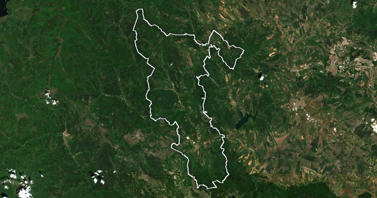 Satelitska snimka s ucrtanom granicom: Zemen
