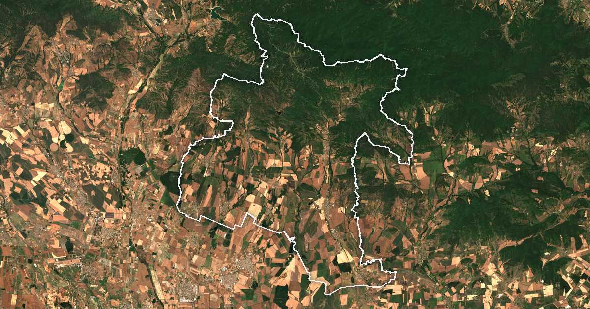 Satelitska snimka s ucrtanom granicom: Brezovo