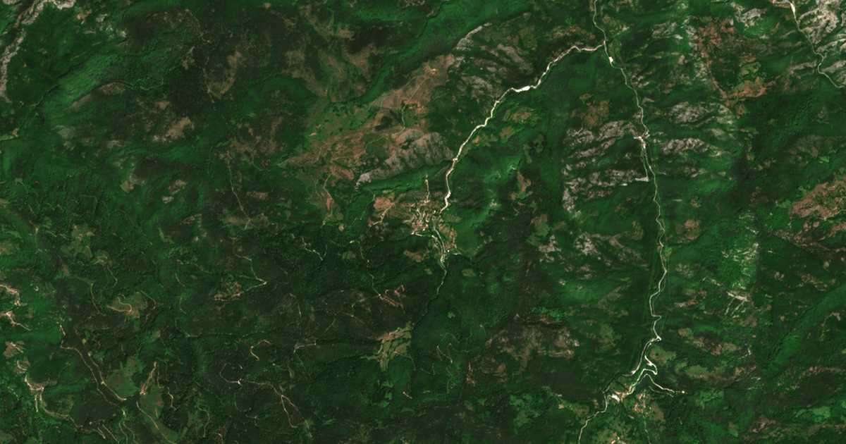 Satelitska karta: Drjanovo