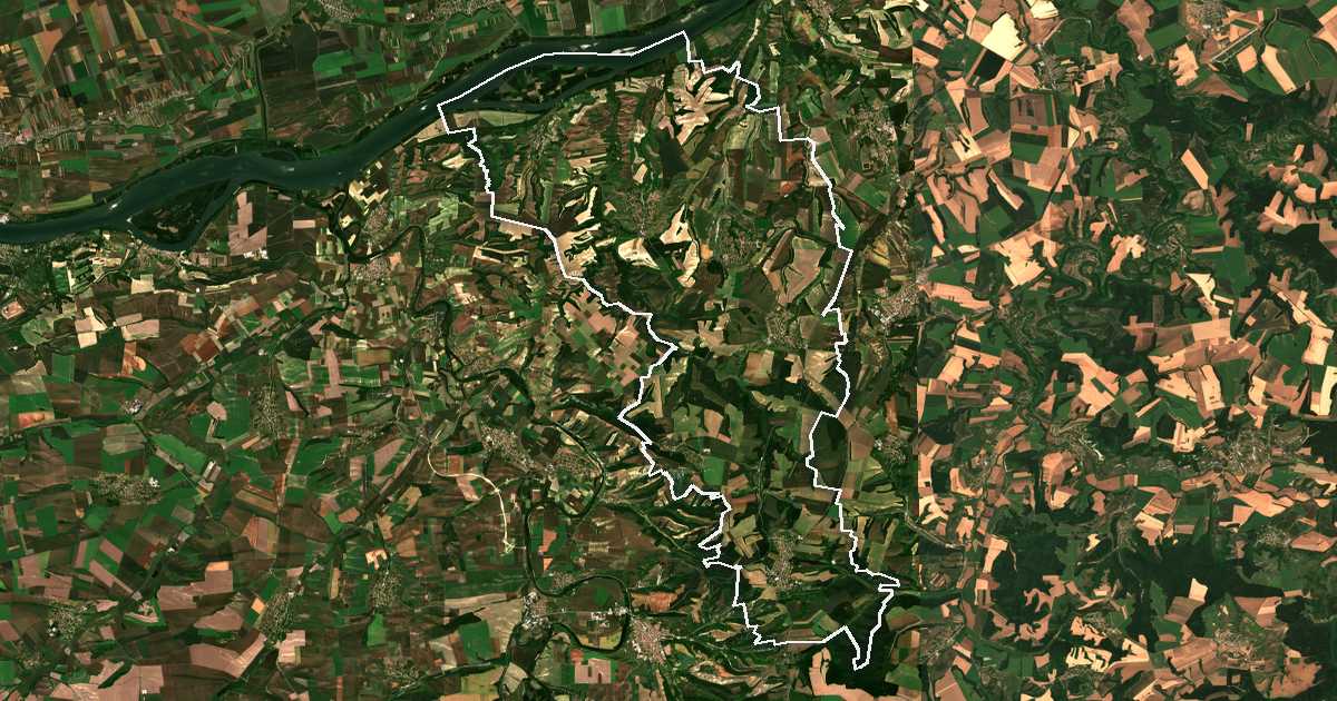 Satelitska snimka s ucrtanom granicom: Borovo