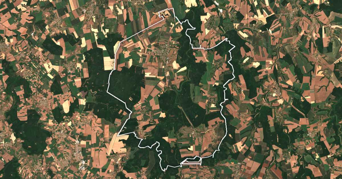 Satelitska snimka s ucrtanom granicom: Alfatar