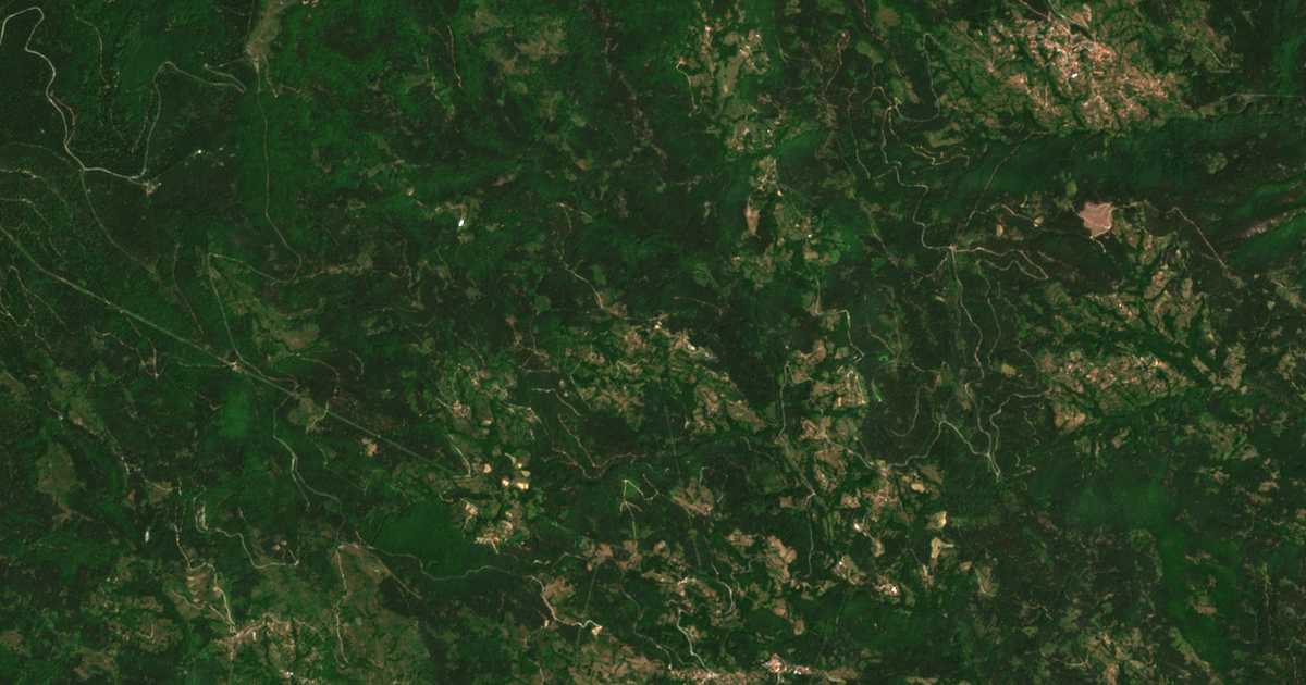 Satelitska karta: Bosilkovo