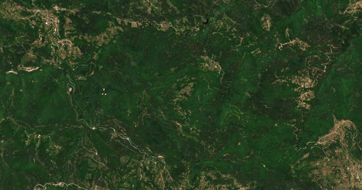 Satelitska karta: Trave