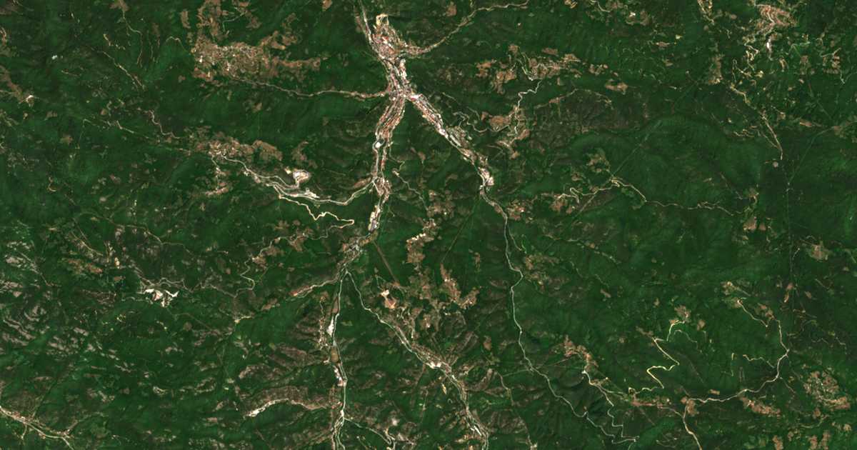 Satelitska karta: Borinovo