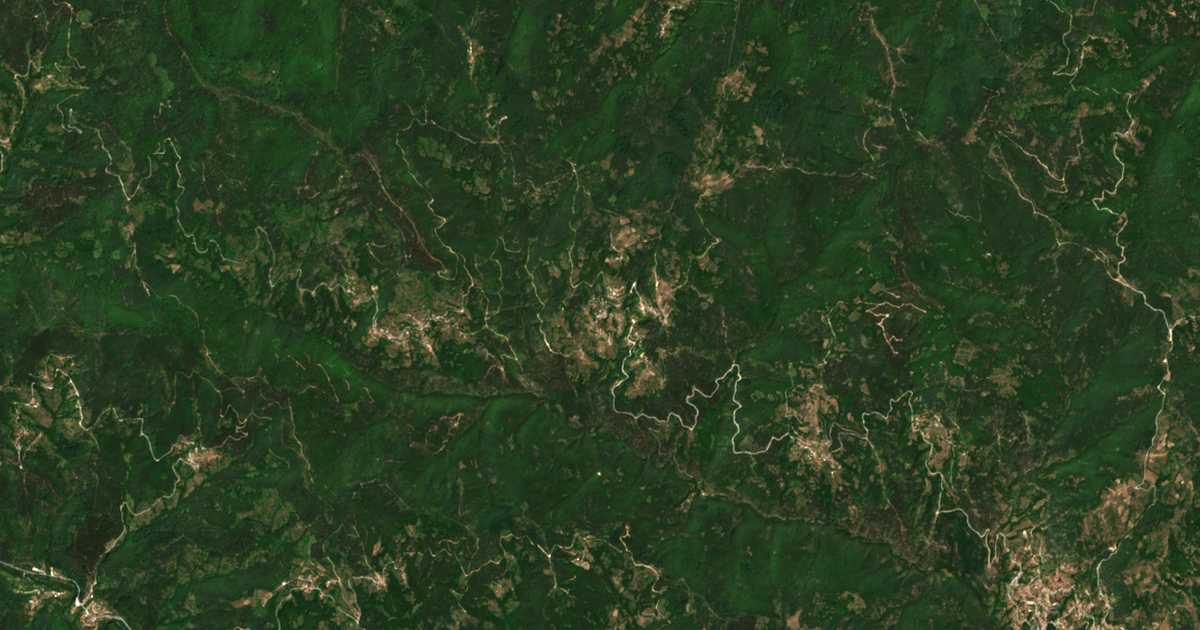 Satelitska karta: Borovina