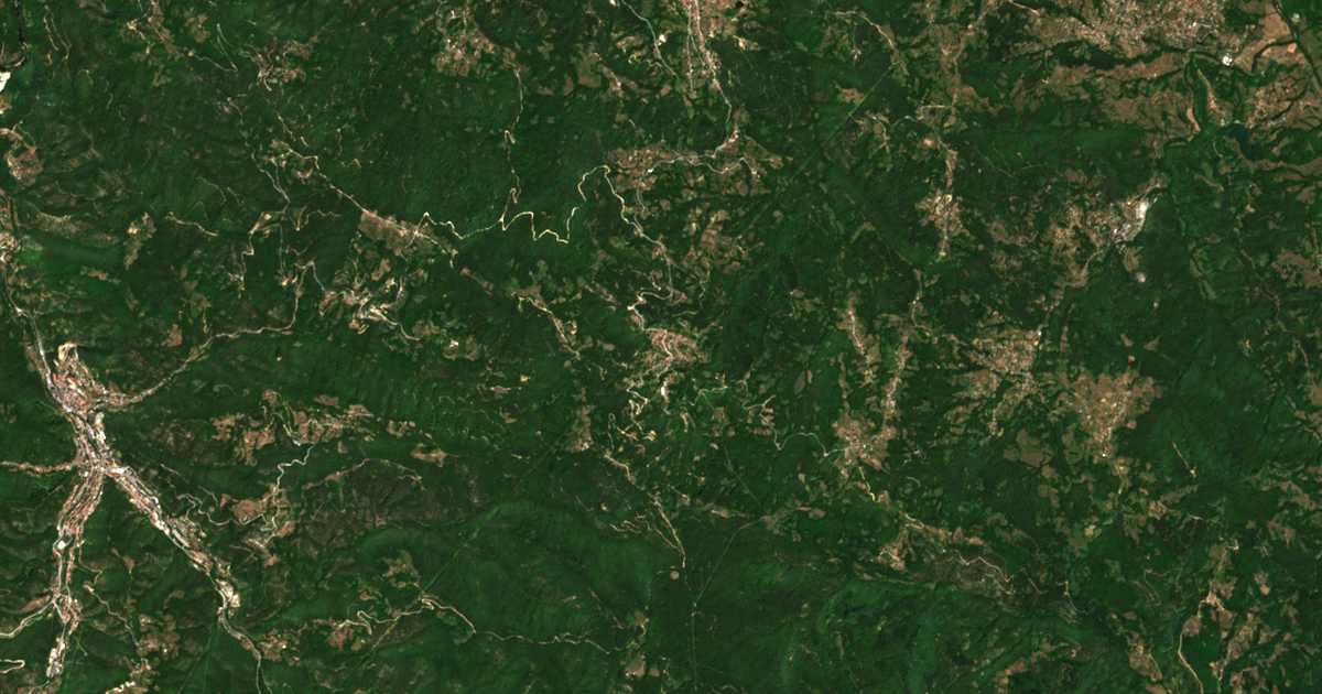 Satelitska karta: Bukovo