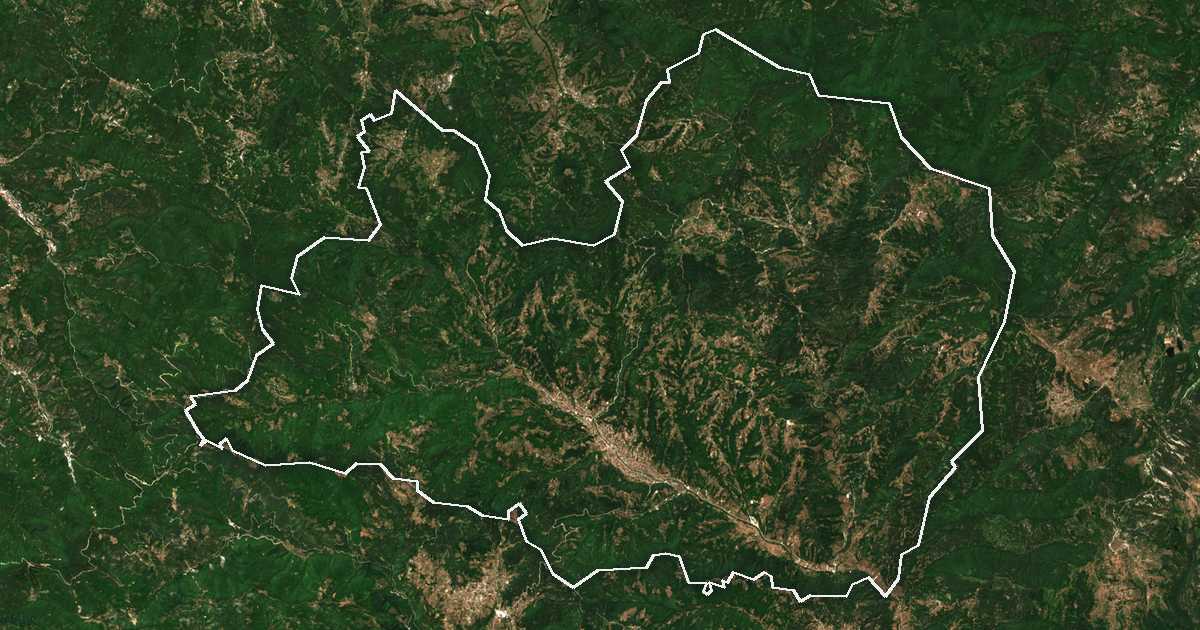 Satelitska snimka s ucrtanom granicom: Nedelino