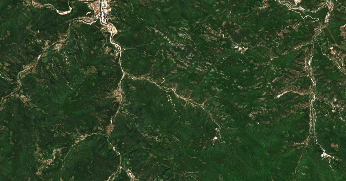 Satelitska karta: Ribnica