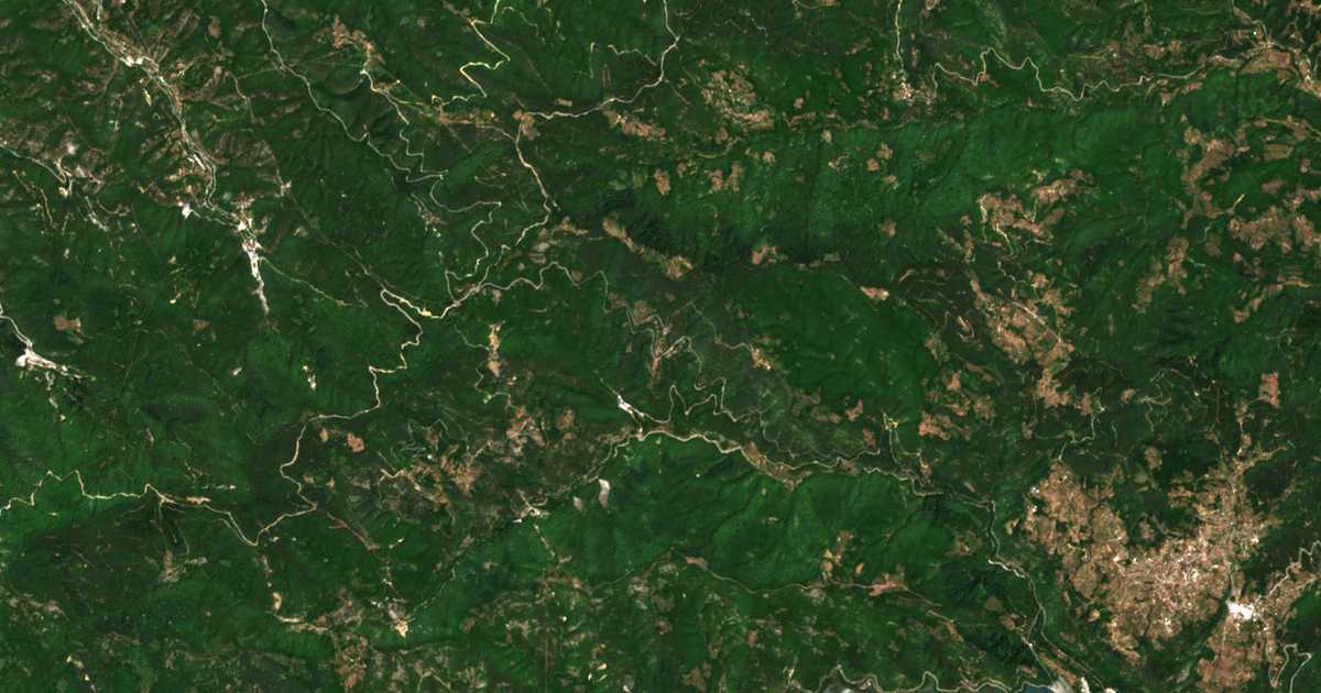 Satelitska karta: Cacarovci