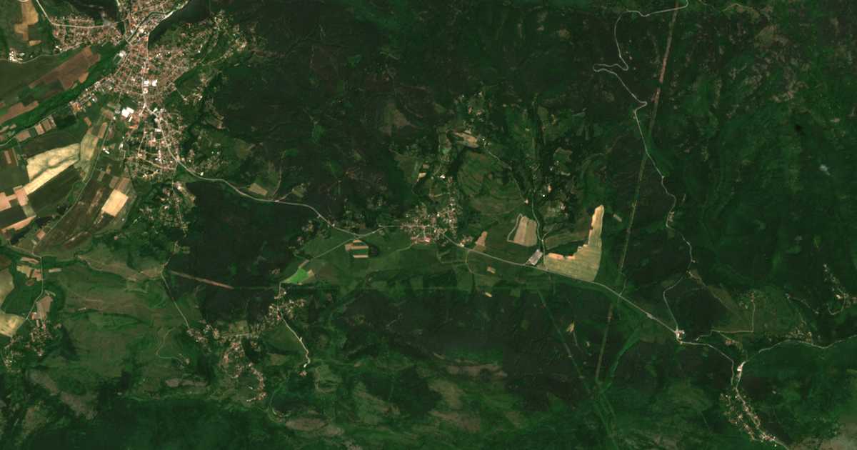 Satelitska karta: Šuma