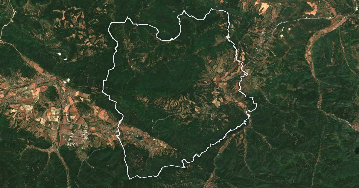Satelitska snimka s ucrtanom granicom: Pravec