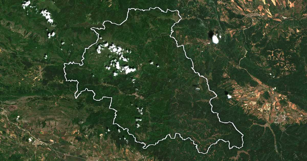 Satelitska snimka s ucrtanom granicom: Svoge