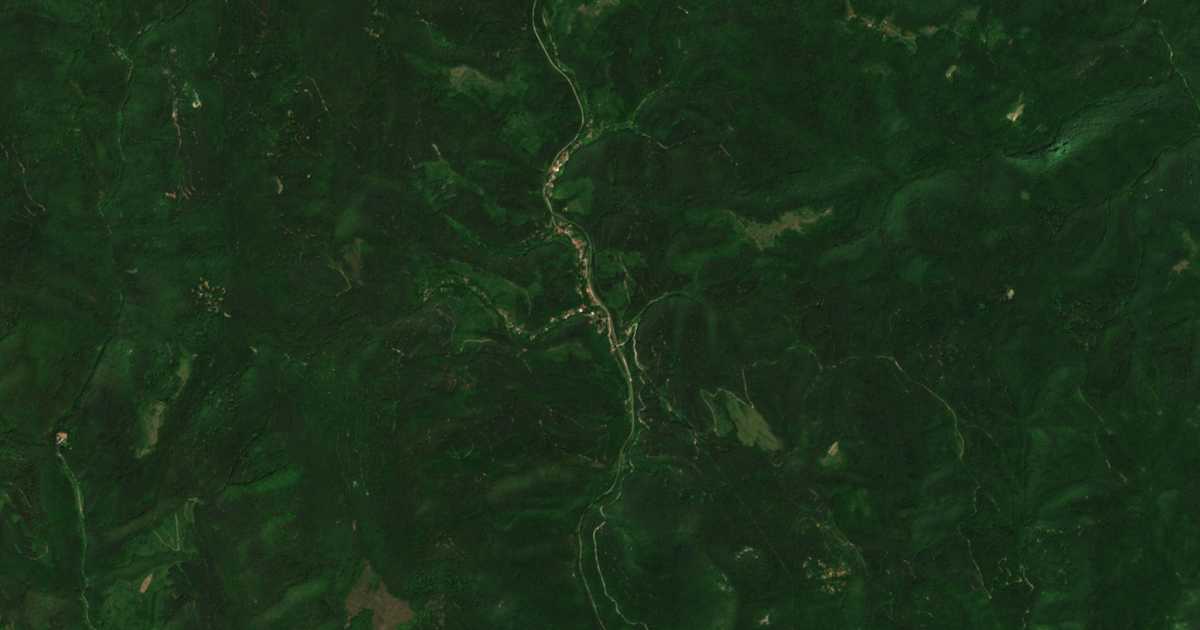Satelitska karta: Boruštica