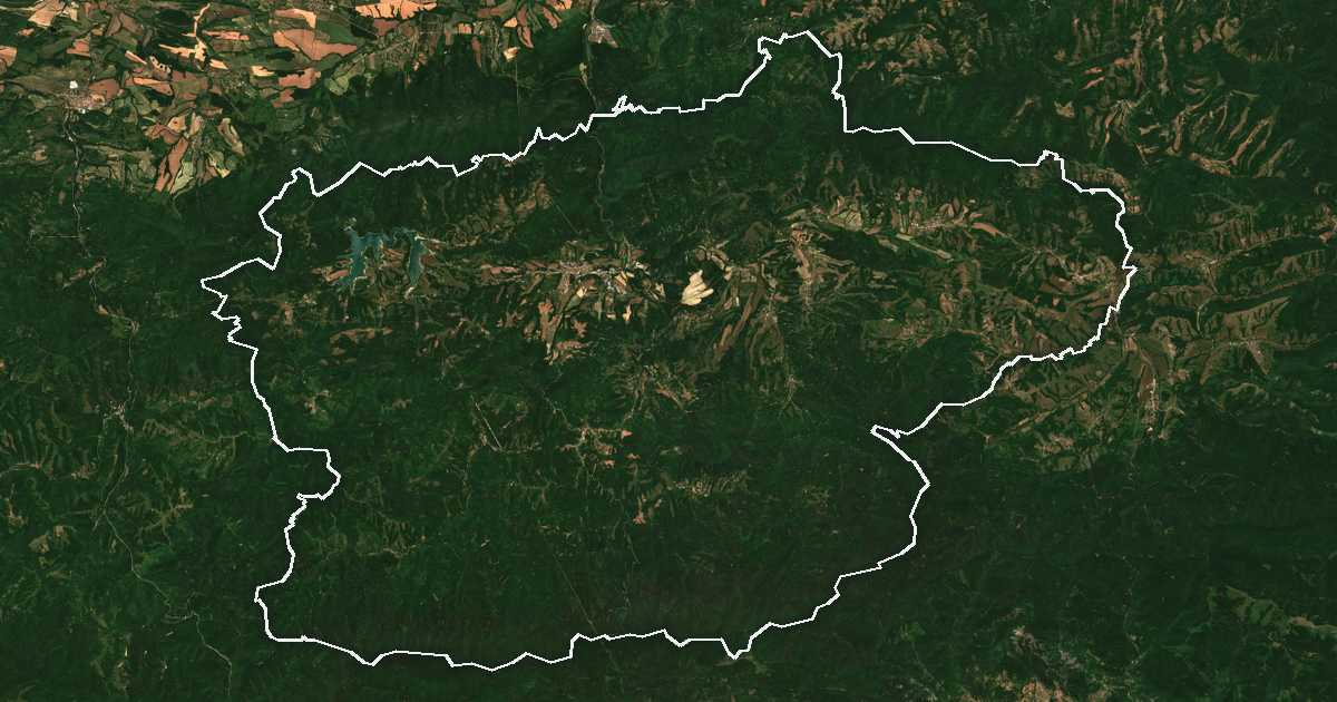 Satelitska snimka s ucrtanom granicom: Elena