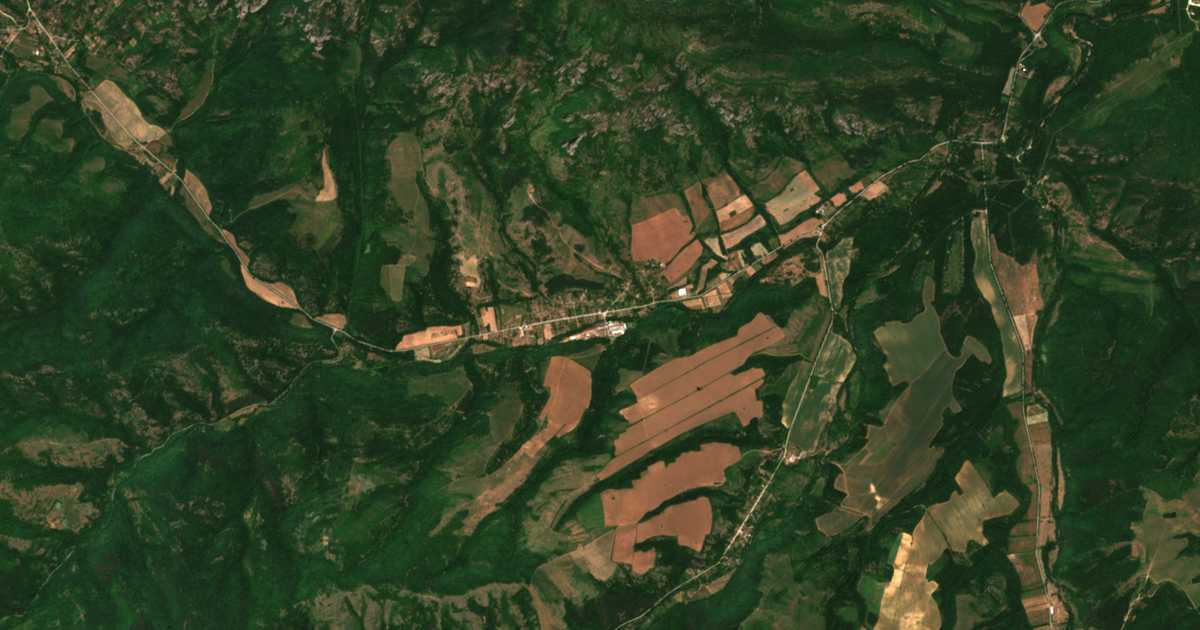 Satelitska karta: Borovica