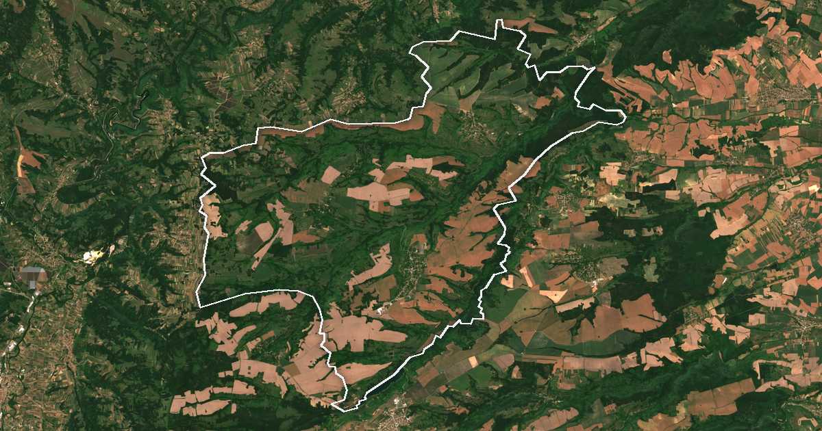Satelitska snimka s ucrtanom granicom: Bojnica