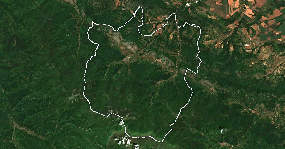 Satelitska snimka s ucrtanom granicom: Čuprene