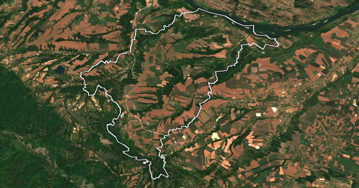 Satelitska snimka s ucrtanom granicom: Dimovo