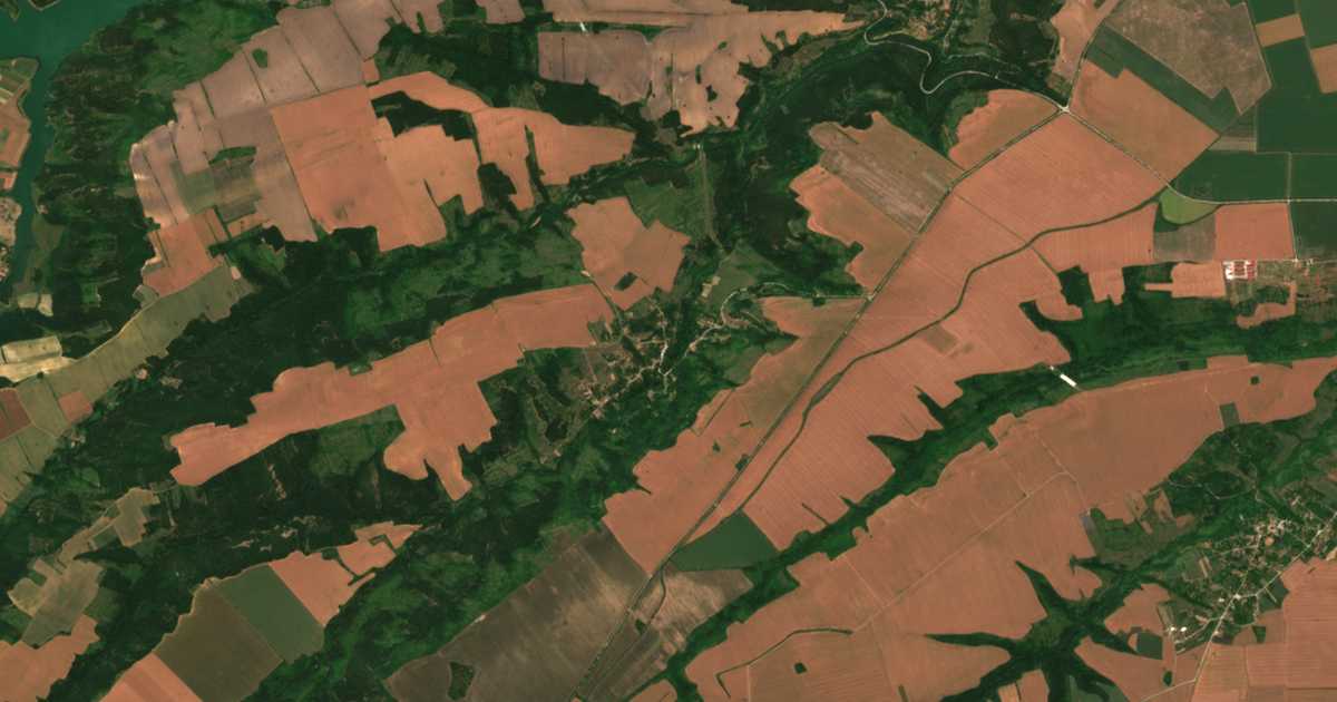 Satelitska karta: Brankovci