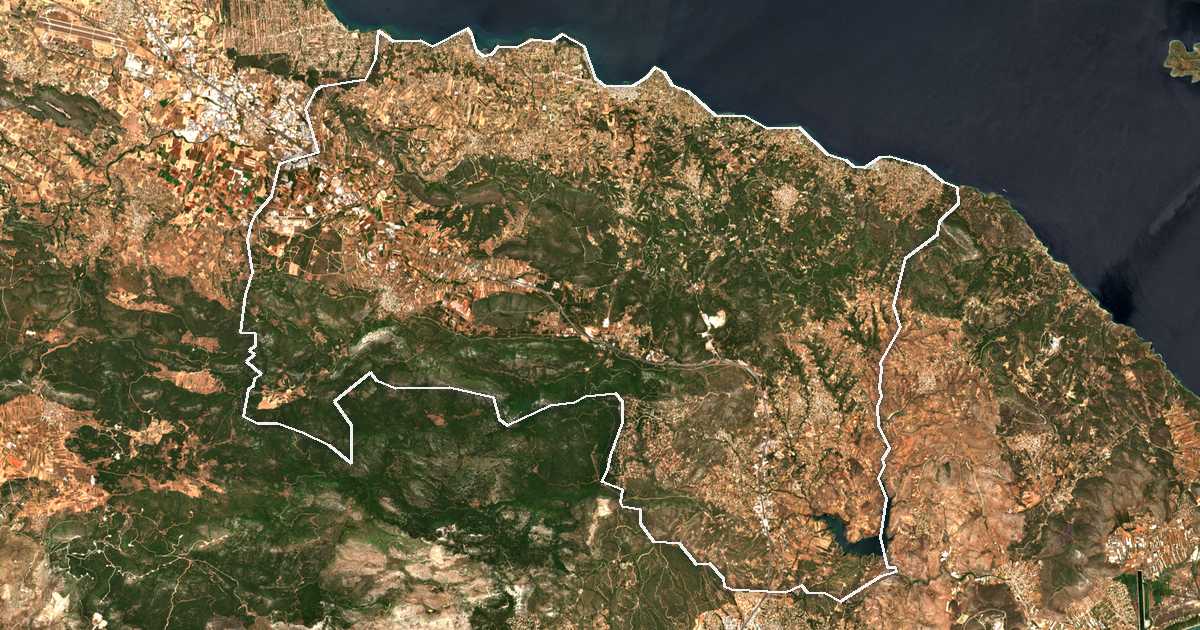 Satelitska snimka s ucrtanom granicom: Dímos Oropoú