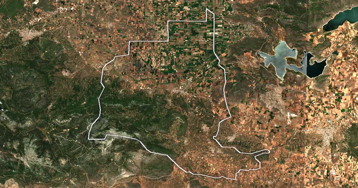 Satelitska snimka s ucrtanom granicom: Dímos Aliártou