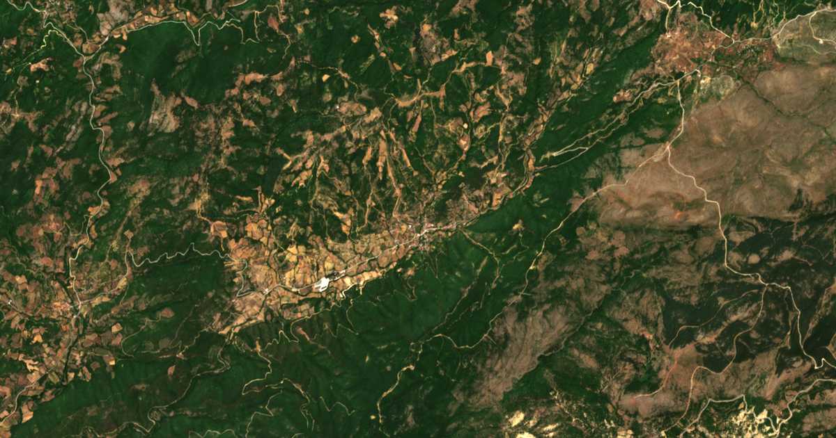Satelitska karta: Orgáni