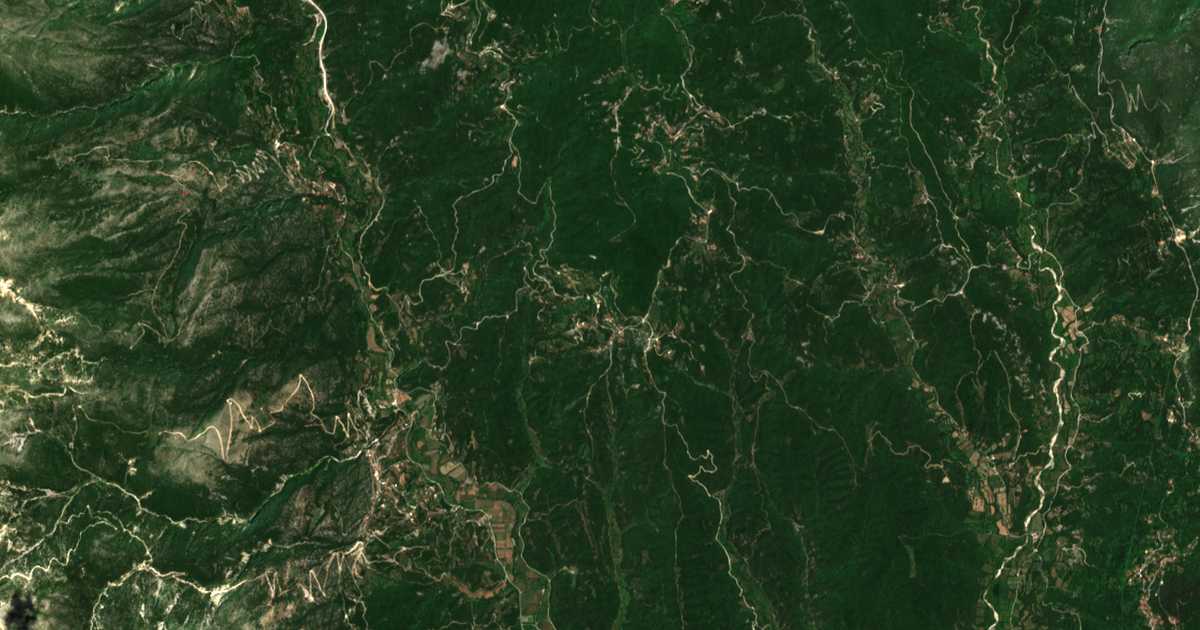 Satelitska karta: Monódendron
