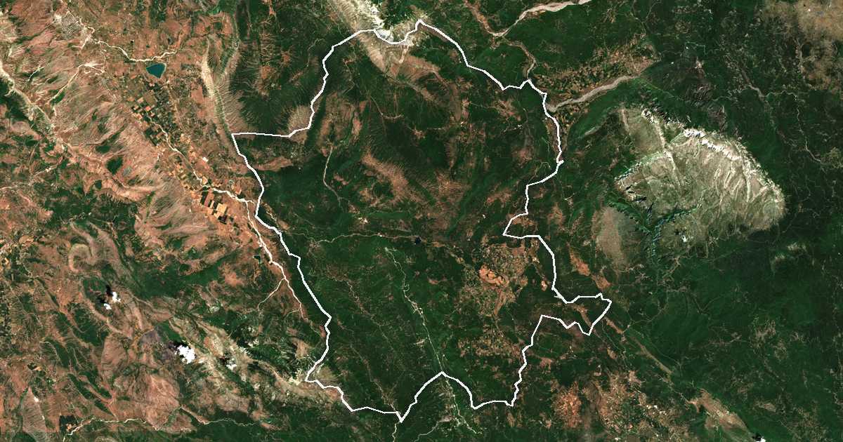 Satelitska snimka s ucrtanom granicom: Dímos Pogoníou