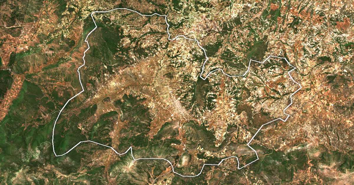 Satelitska snimka s ucrtanom granicom: Dímos Neméas