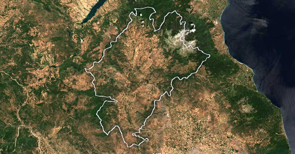 Satelitska snimka s ucrtanom granicom: Dímos Elassónas